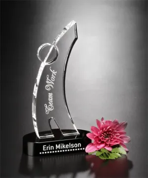 4106 | Teamwork Individual Award 6-1/2"