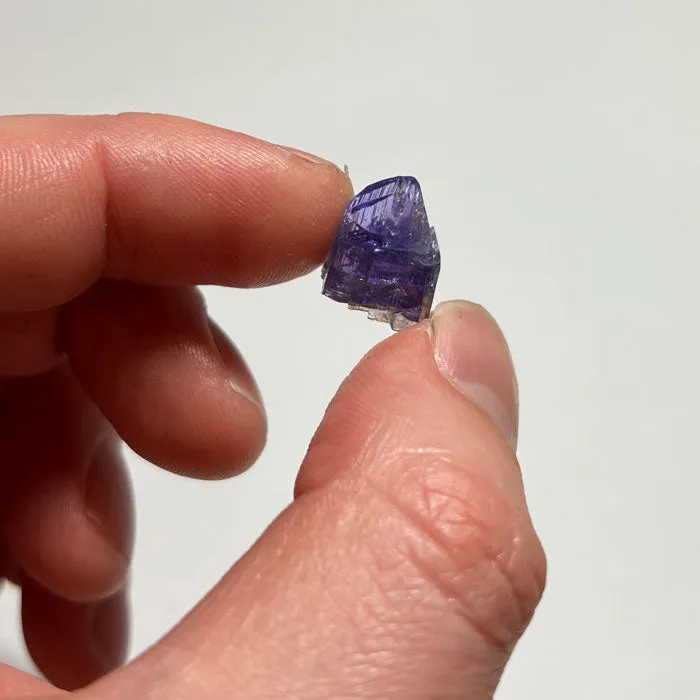 9.6ct Raw Tanzanite Mineral Specimen