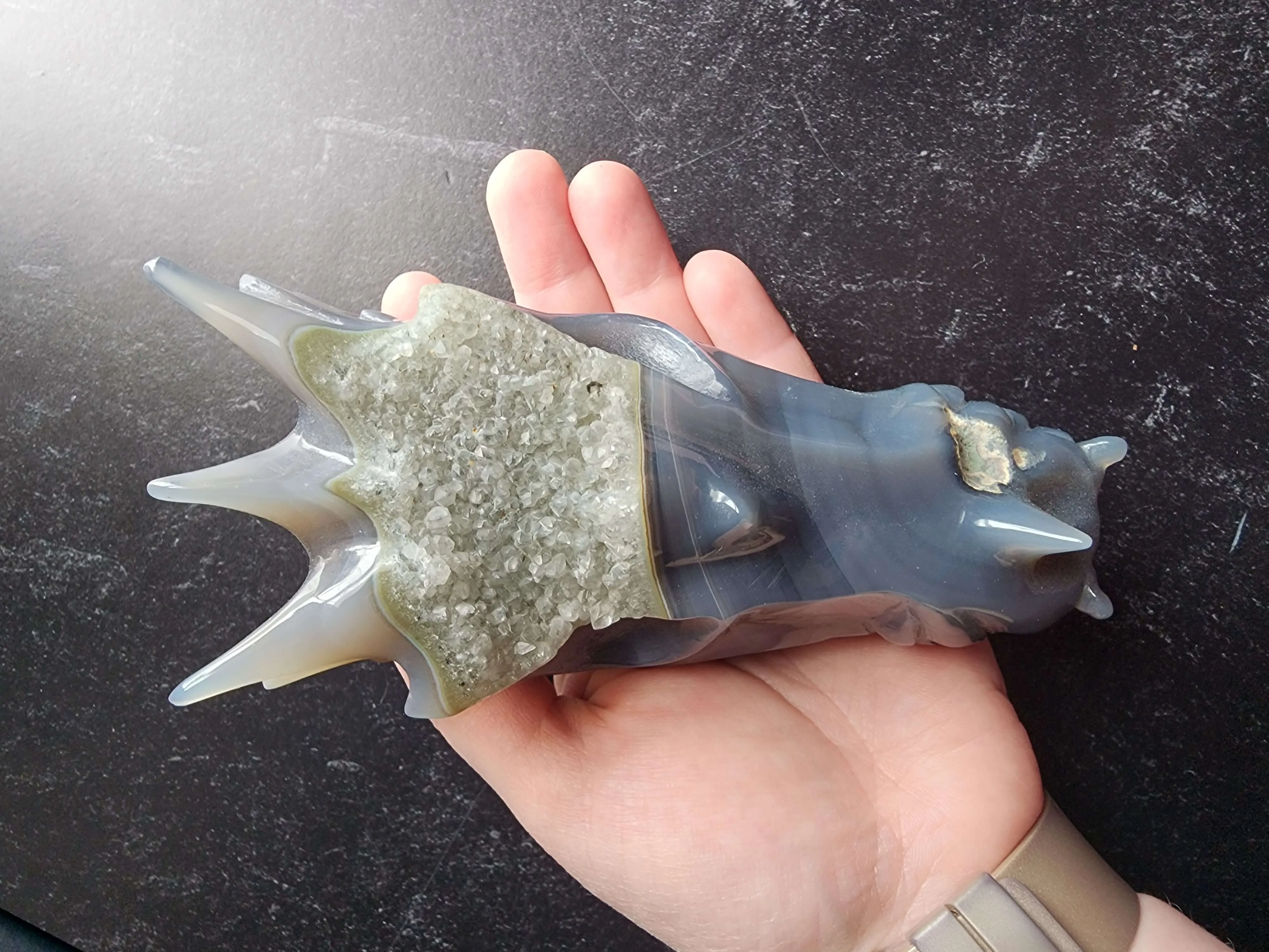 Agate Dragon Head with Druzy