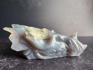 Agate Dragon Head with Druzy