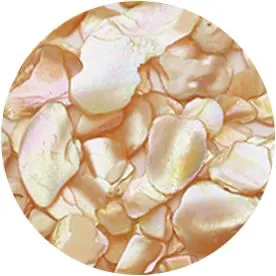Ageha Shell Jewel