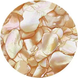 Ageha Shell Jewel