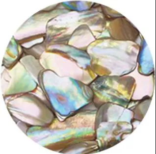 Ageha Shell Jewel