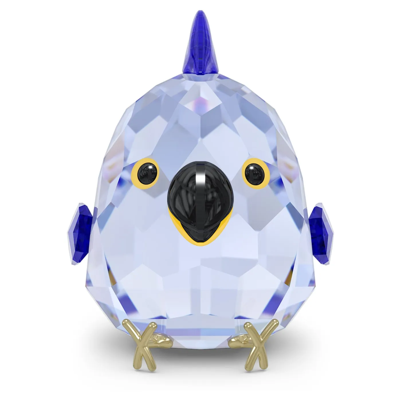 All you Need are Birds Blue Macaw 5644815