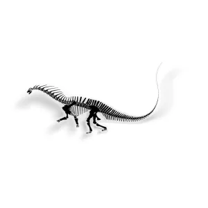 Amargasaurus Fossil Dinosaur Sticker