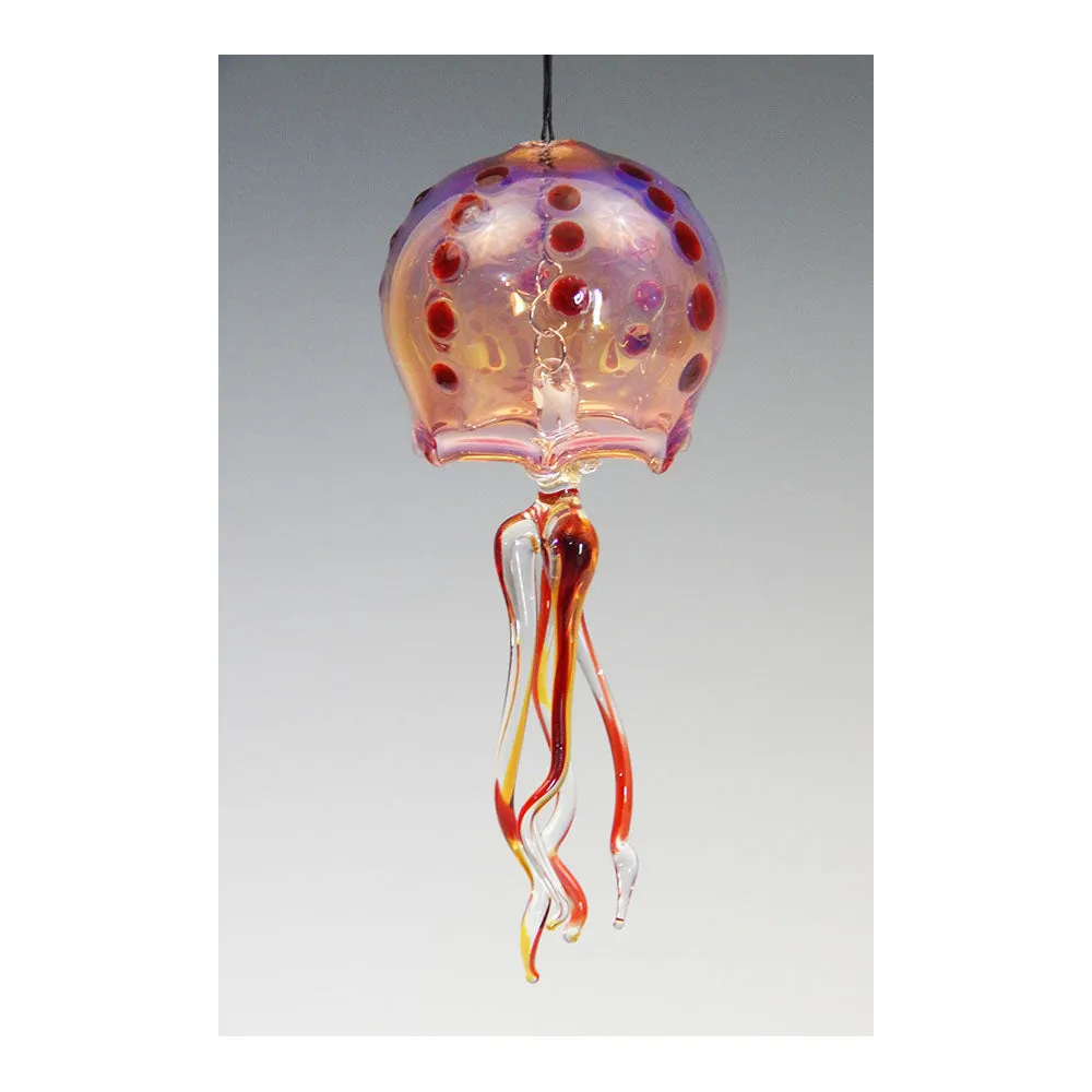 Bell Jelly Fish