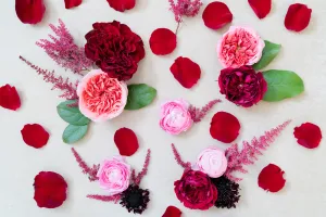 Berry Jewel: Styling Blooms / Cake Florals