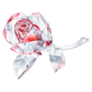 Blossoming Rose, Red - 5428561