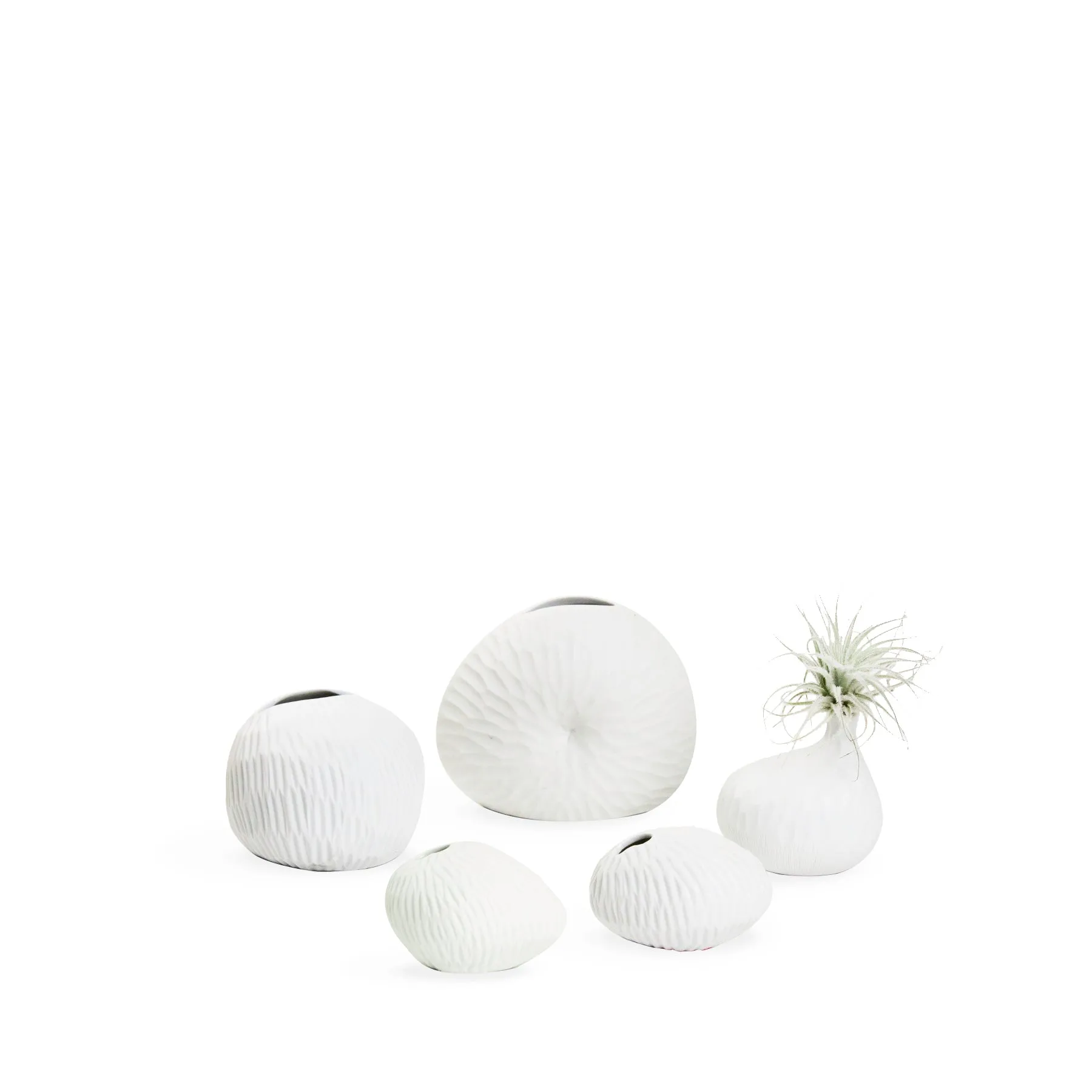Bud Vase - WH15 ; WH12 ; WH16 - White