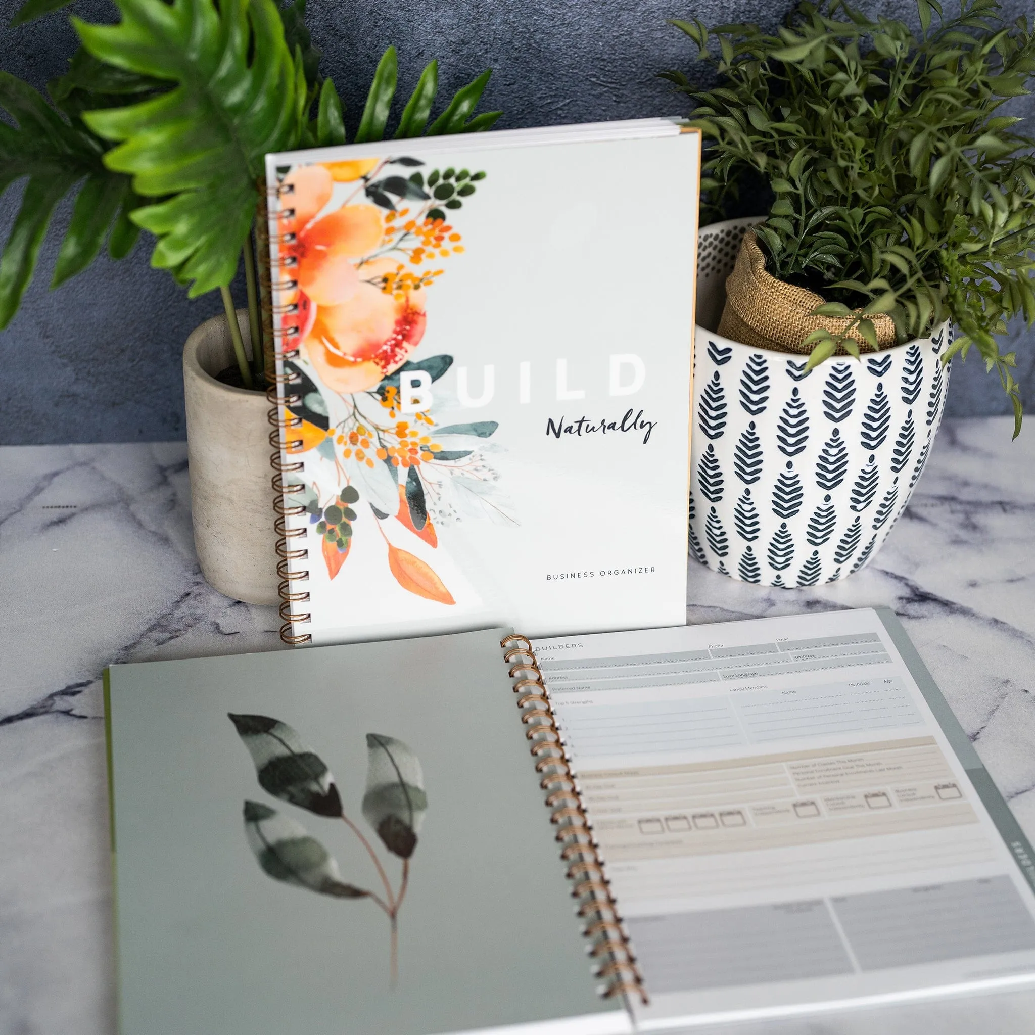 Build Naturally Organizer