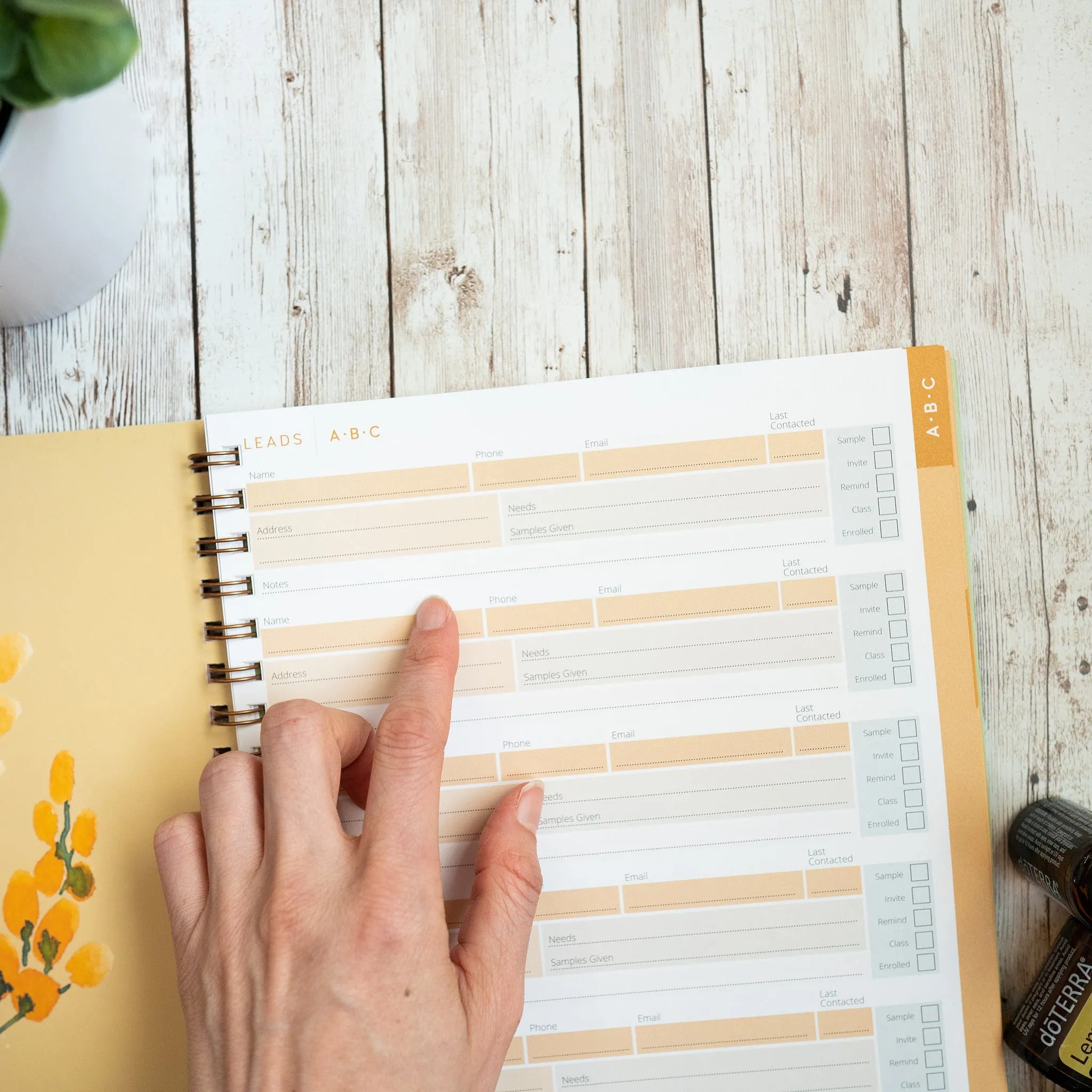 Build Naturally Organizer