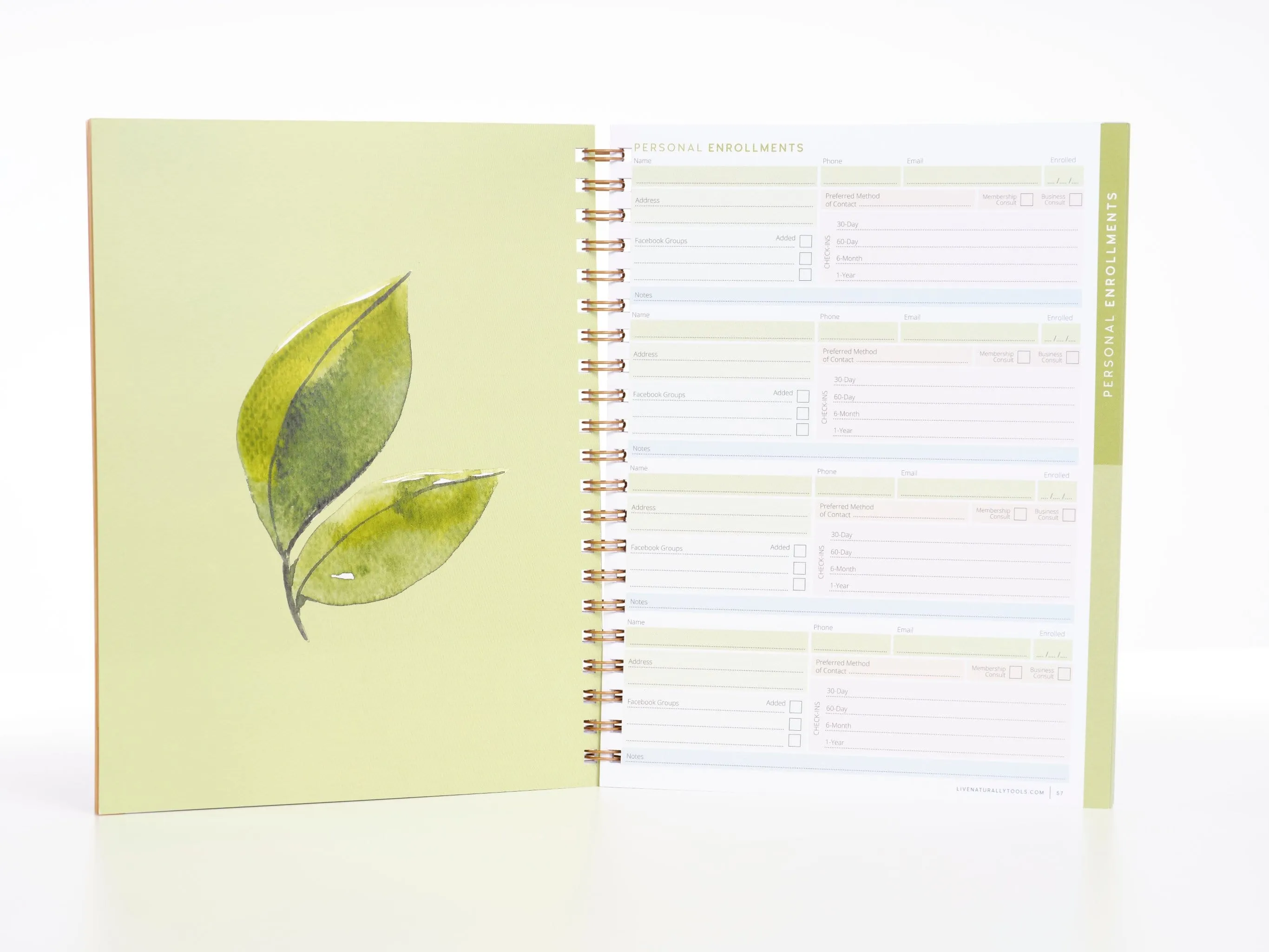 Build Naturally Organizer