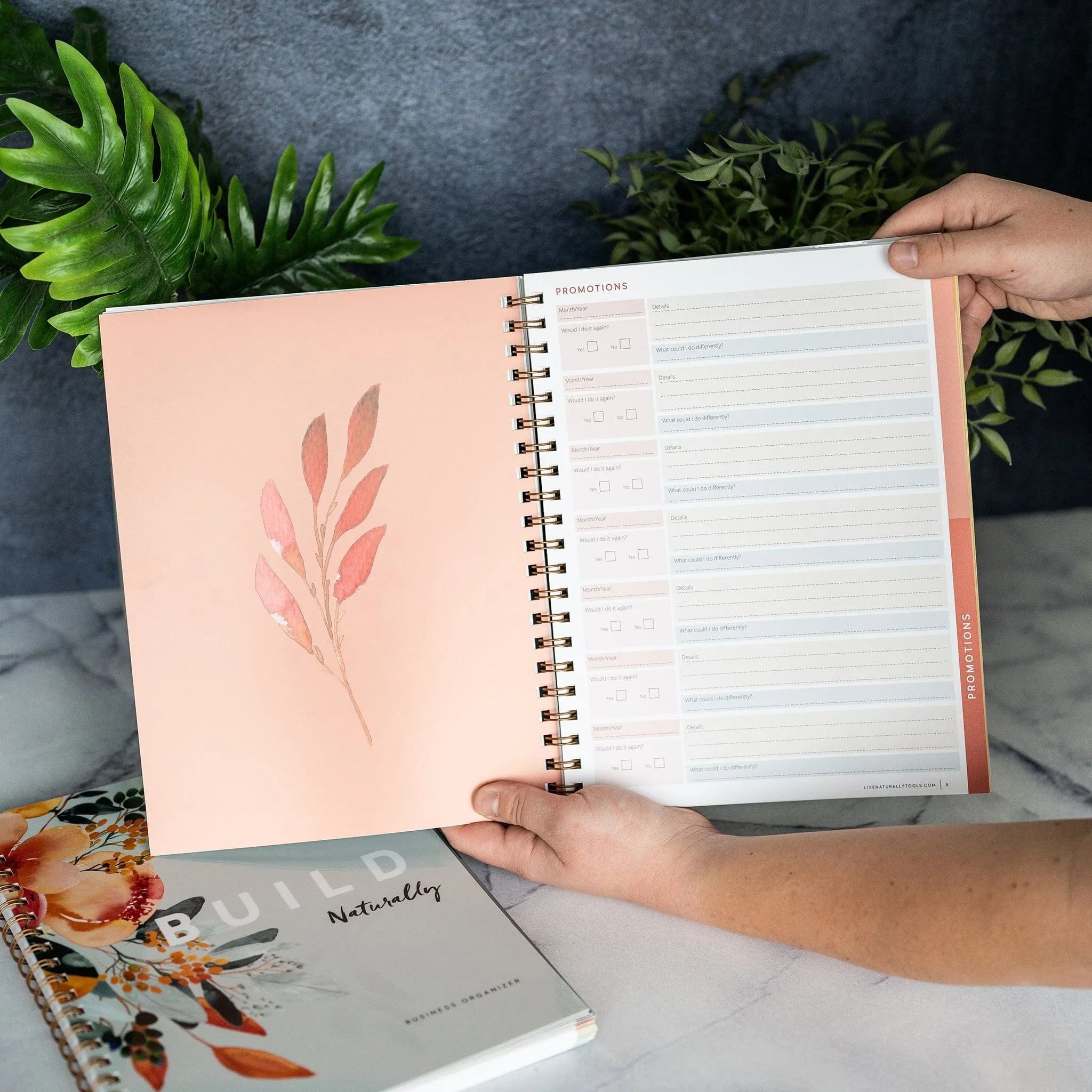 Build Naturally Organizer