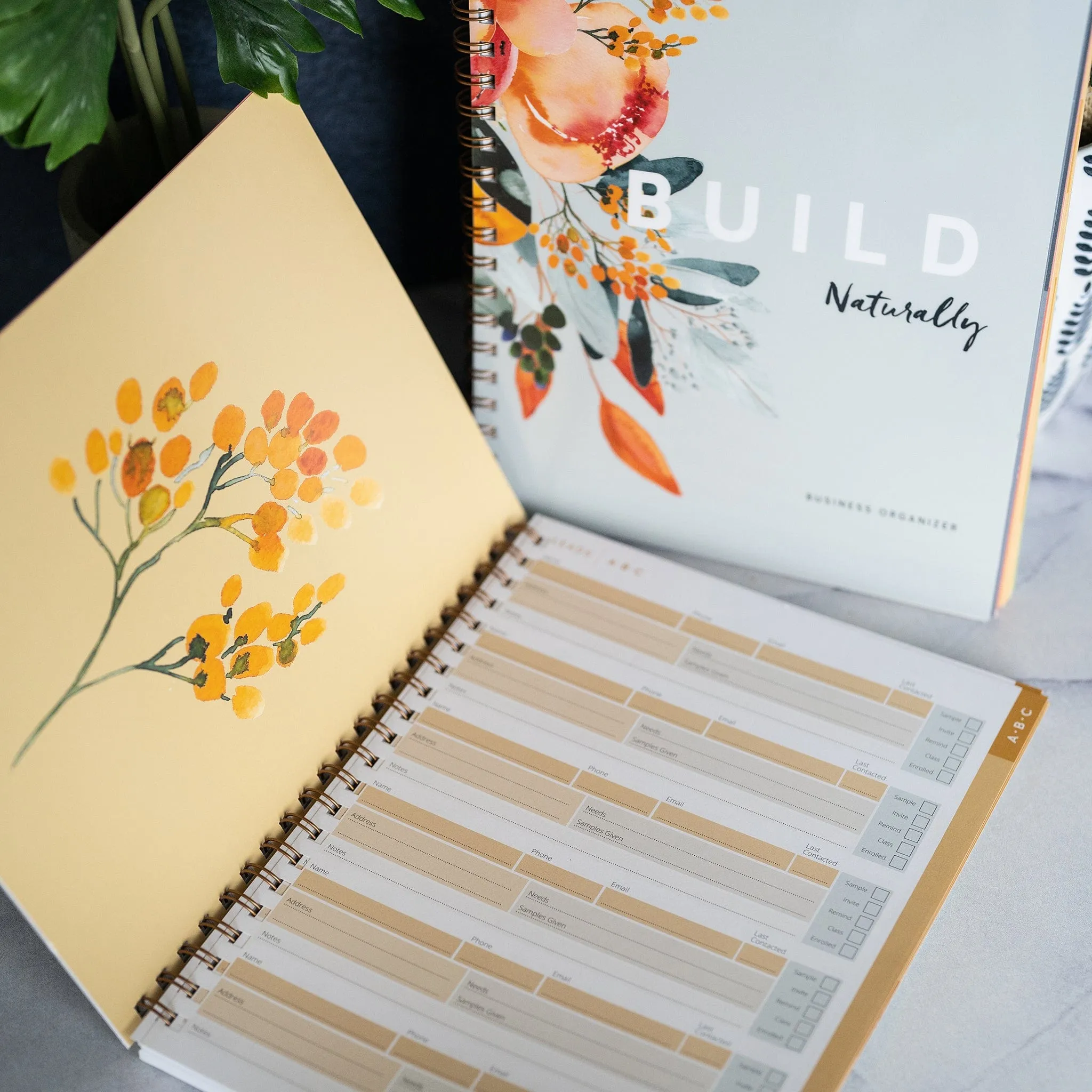 Build Naturally Organizer