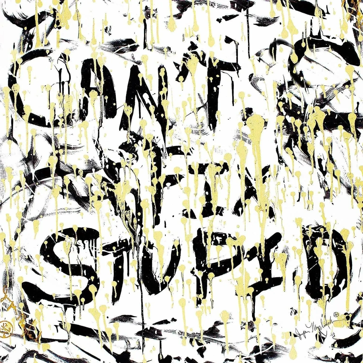 Can't Fix Stupid  (Print on Canvas)