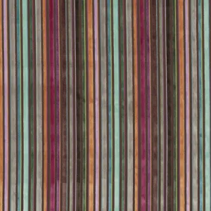 Cardinal Stripe-Jewel