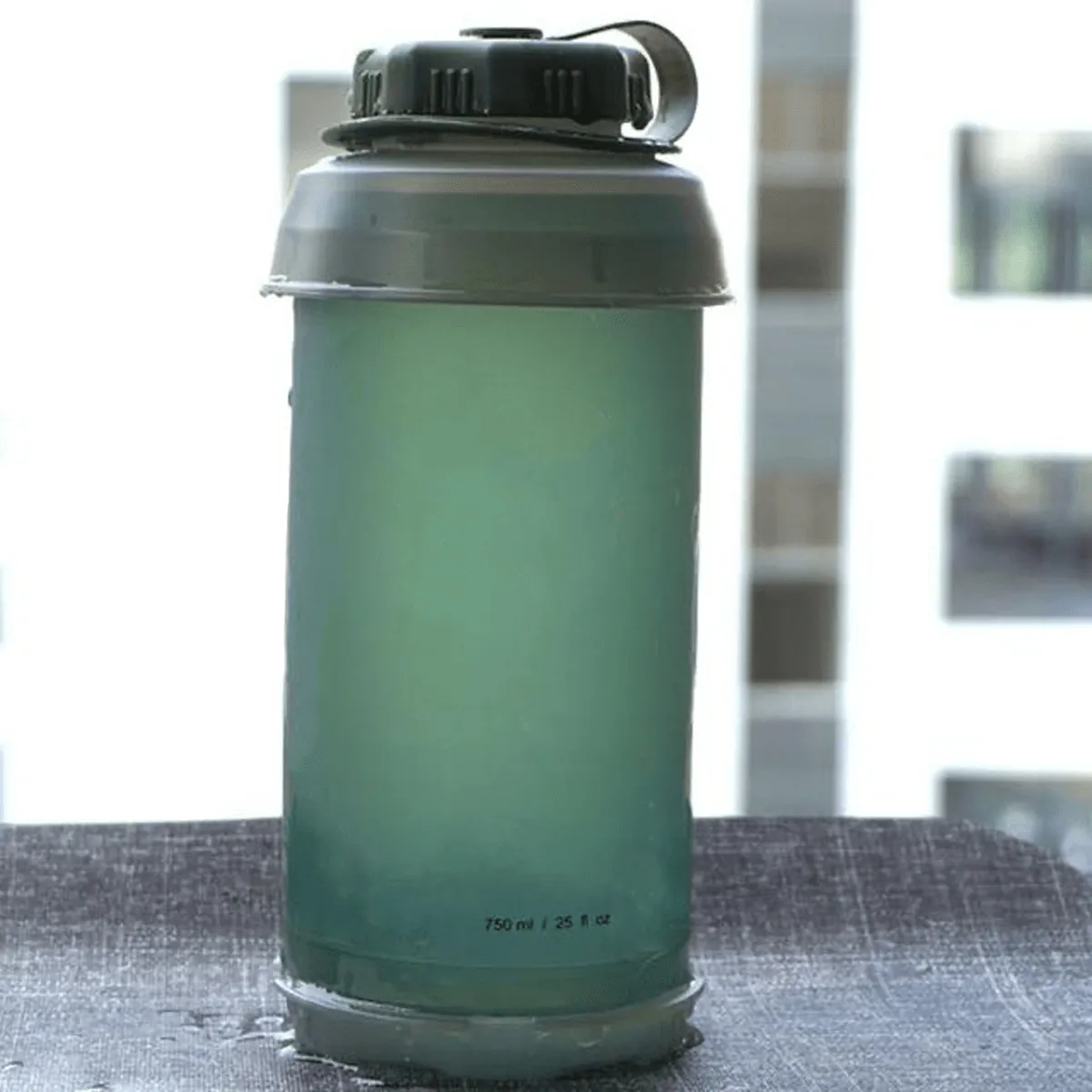 CATs Collapsible Bottle