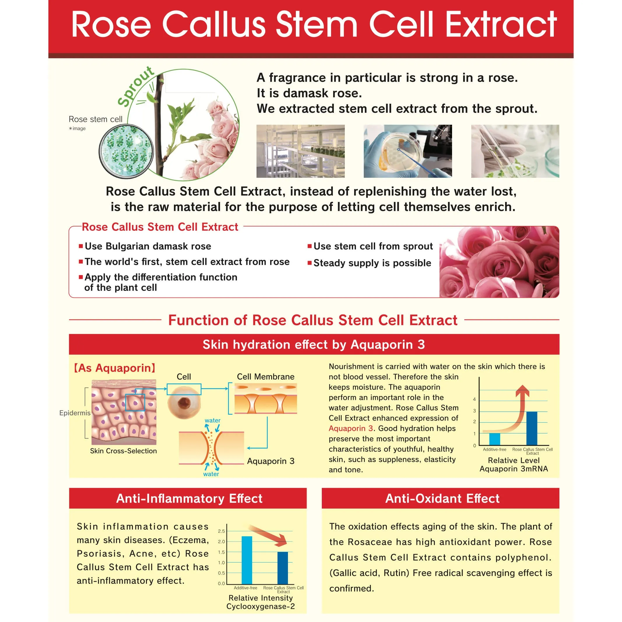 CHIECO (GINZA TOMATO) Rose Placenta®SC 60capsules