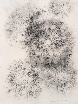 Christine Stoughton: July 4, #2