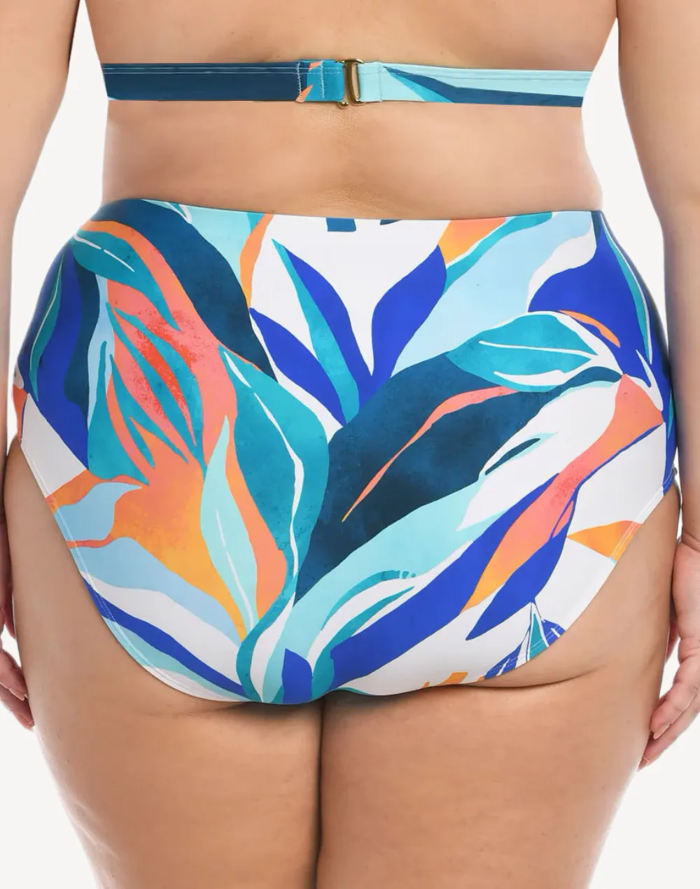 Coastal Palms High Waist Plus Size Bikini Bottom