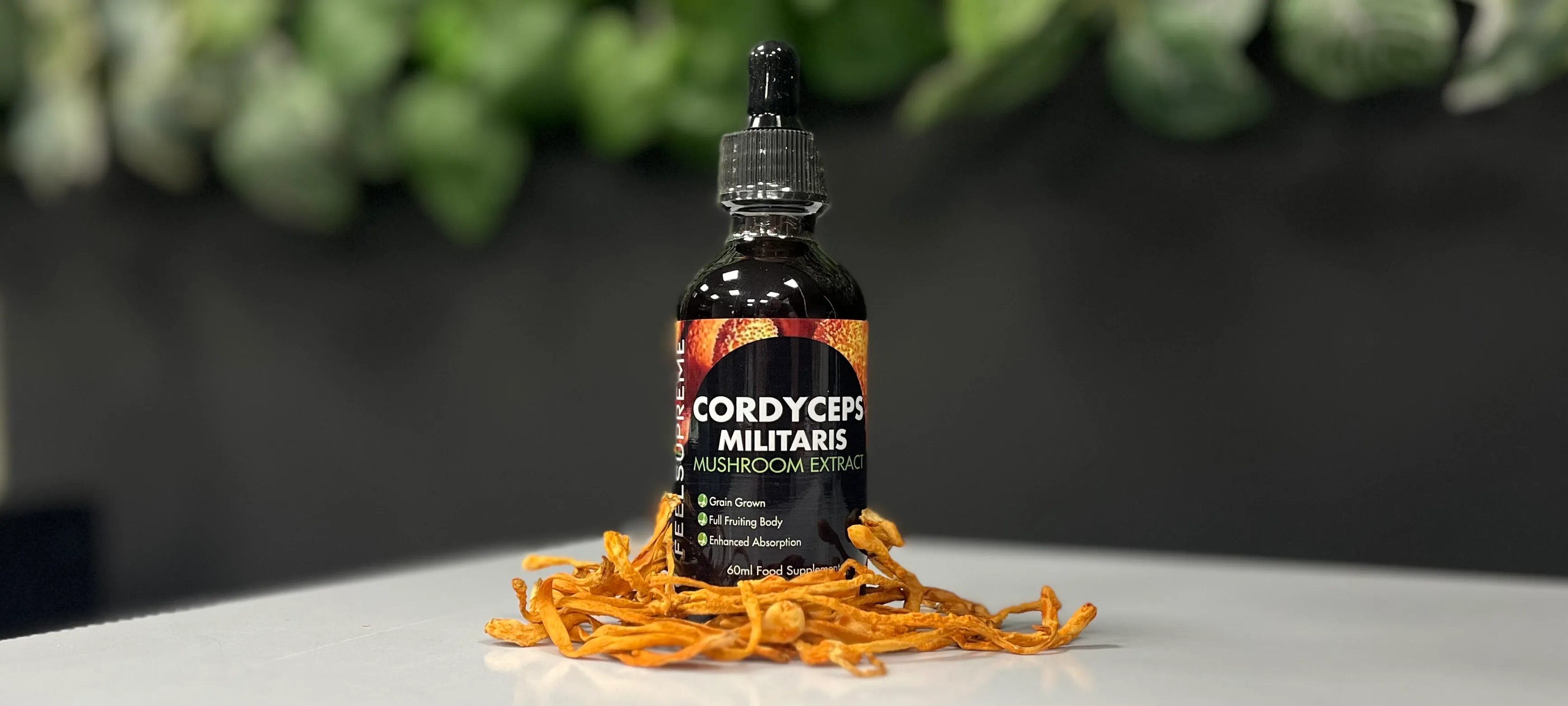 Cordyceps Militaris Mushroom Liquid – 60ml