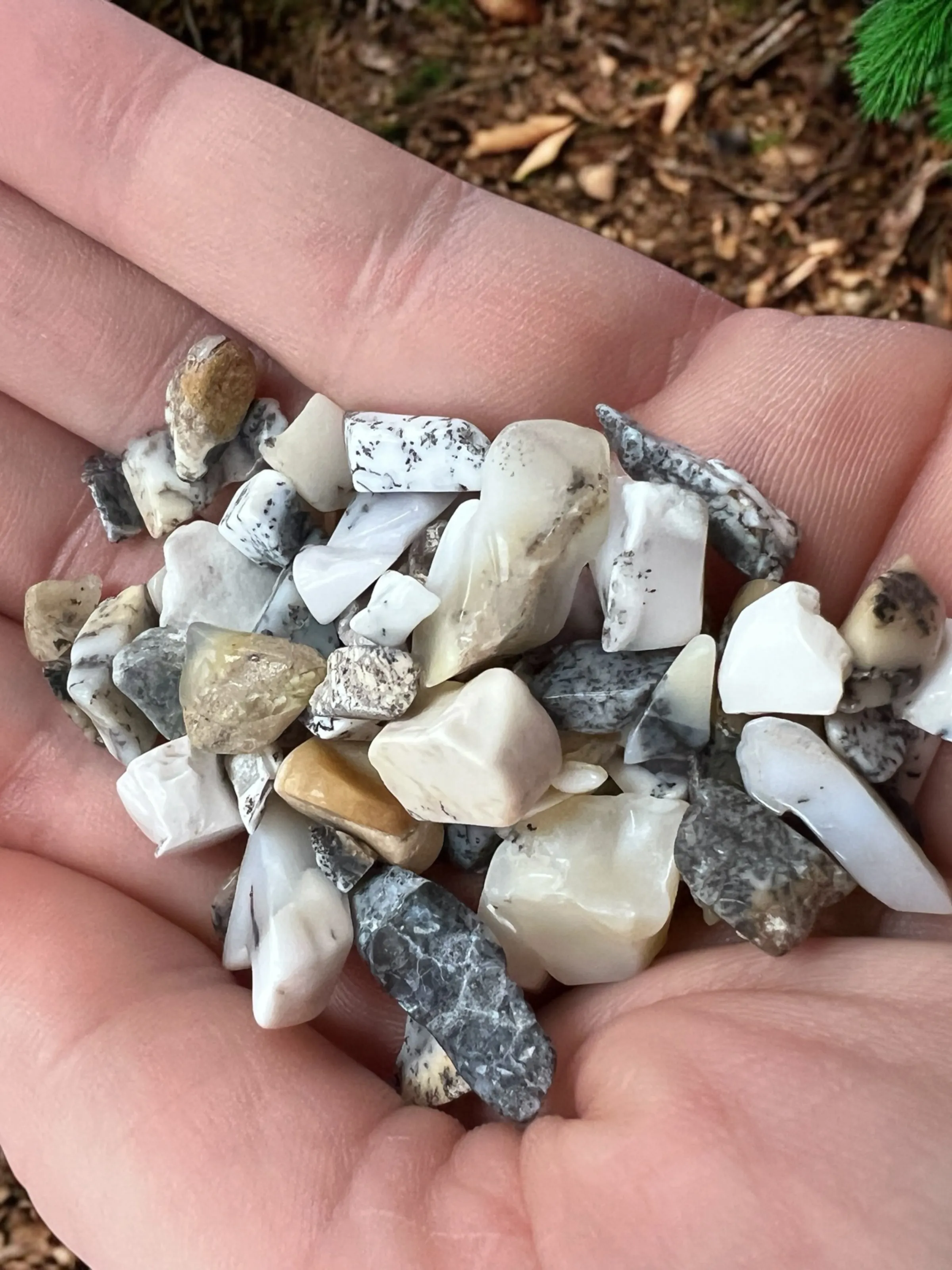 Dendritic Opal Gemstone Chips