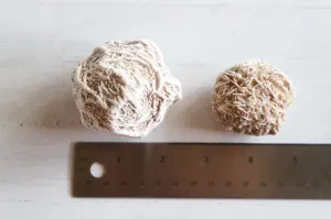 Desert Rose Selenite