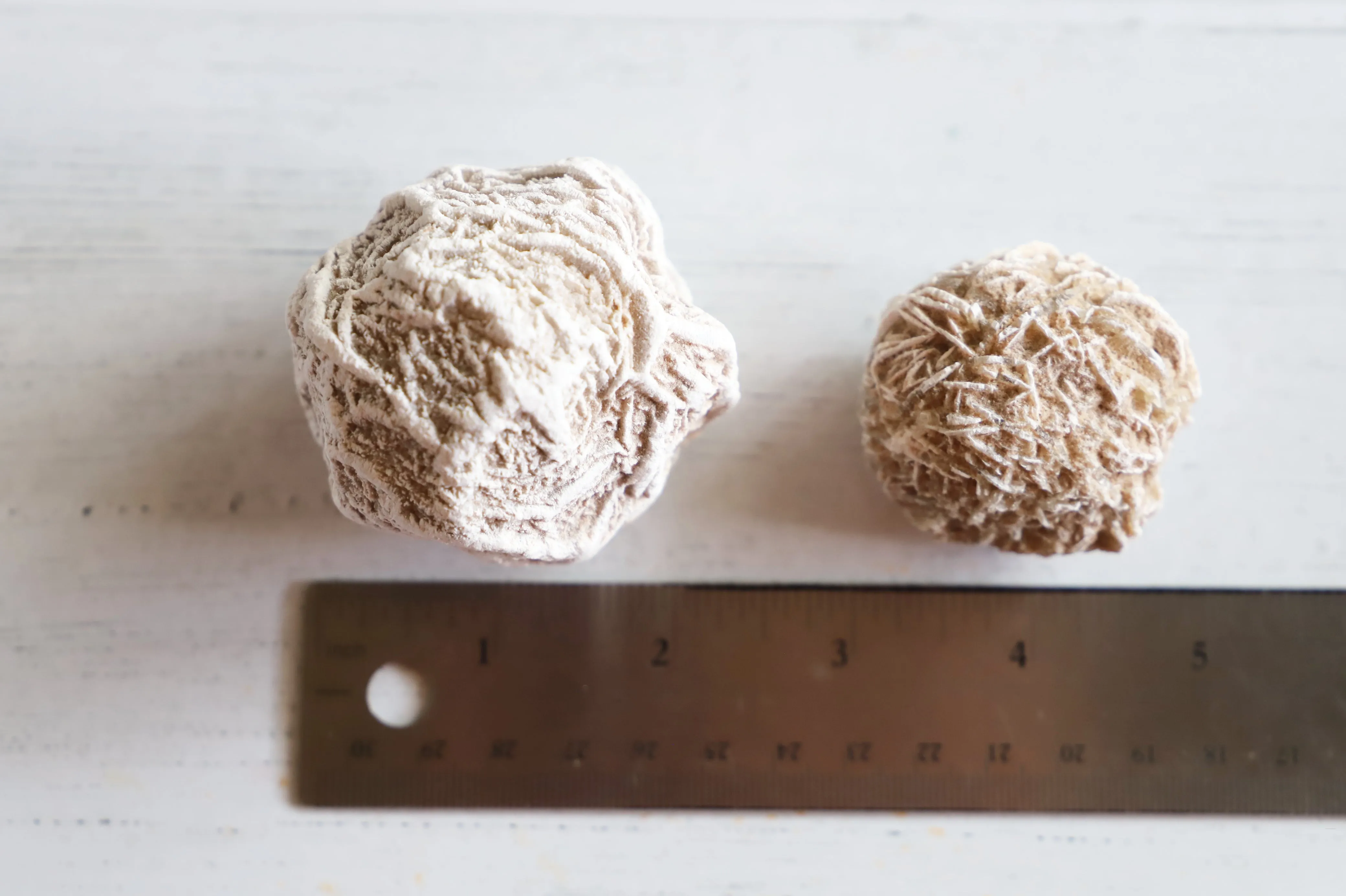 Desert Rose Selenite