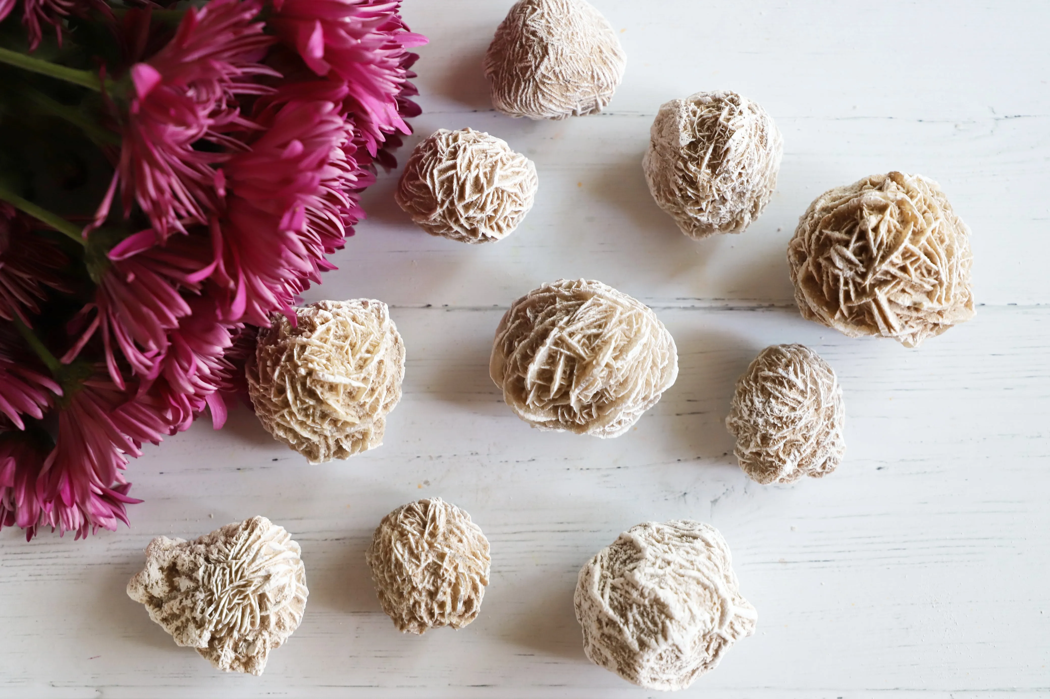 Desert Rose Selenite