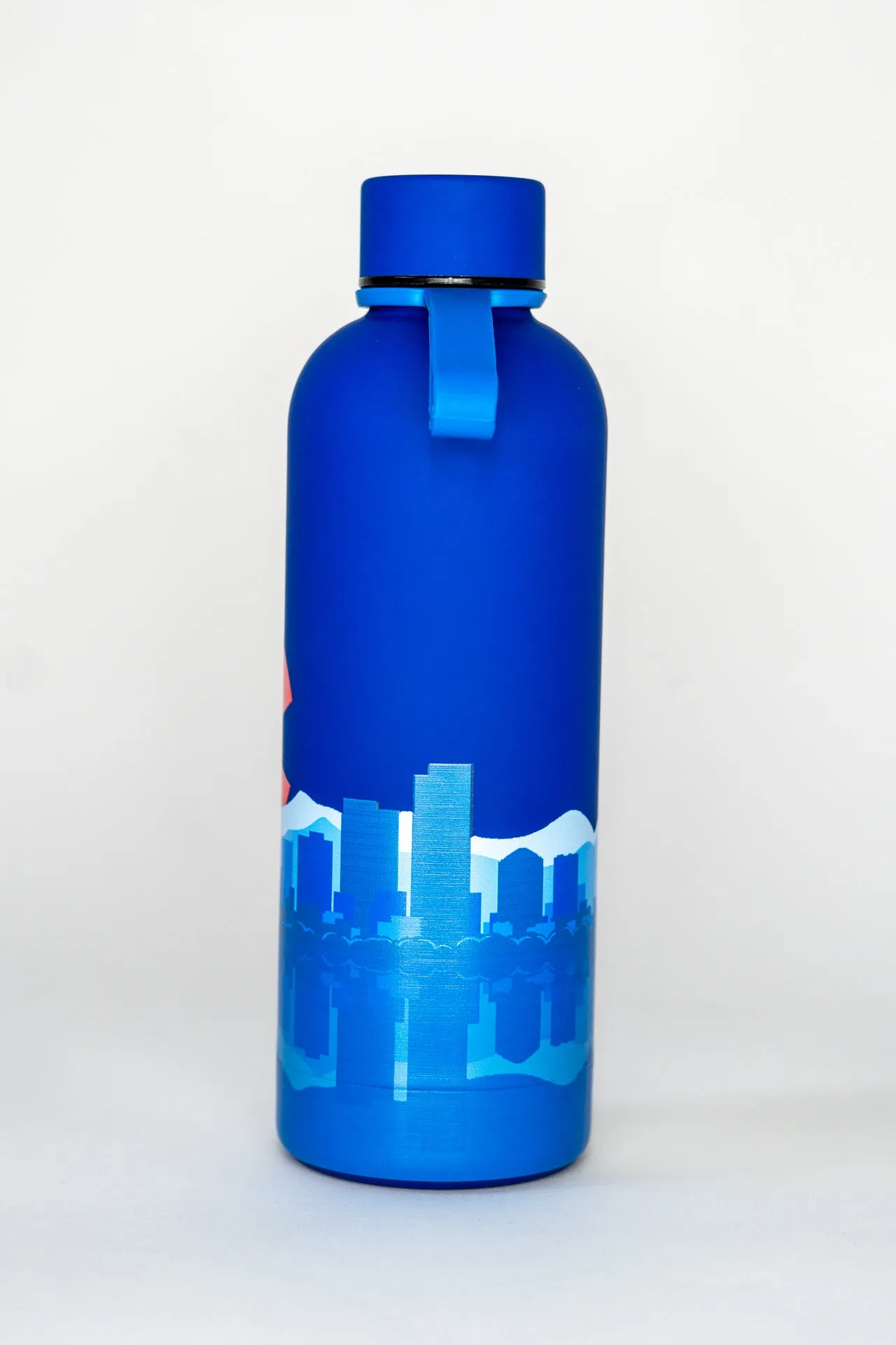 Double Walled Colorado Skyline Stainless Steel Water Bottle