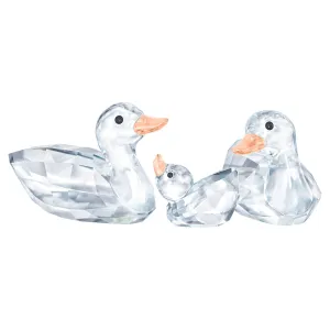 DUCKS 5376422