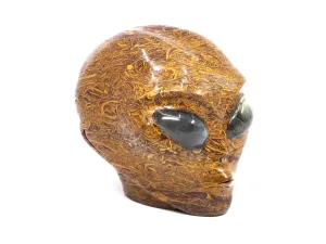 Elephant Skin Jasper Star Being crystal skull