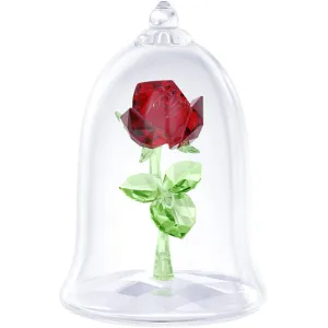 ENCHANTED ROSE 5230478