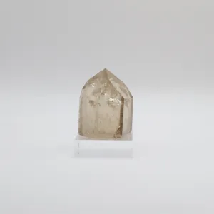 Extra Grade Citrine (VI)