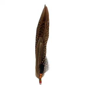 Feather combo 6