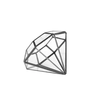 Geometric Terrarium GET2105