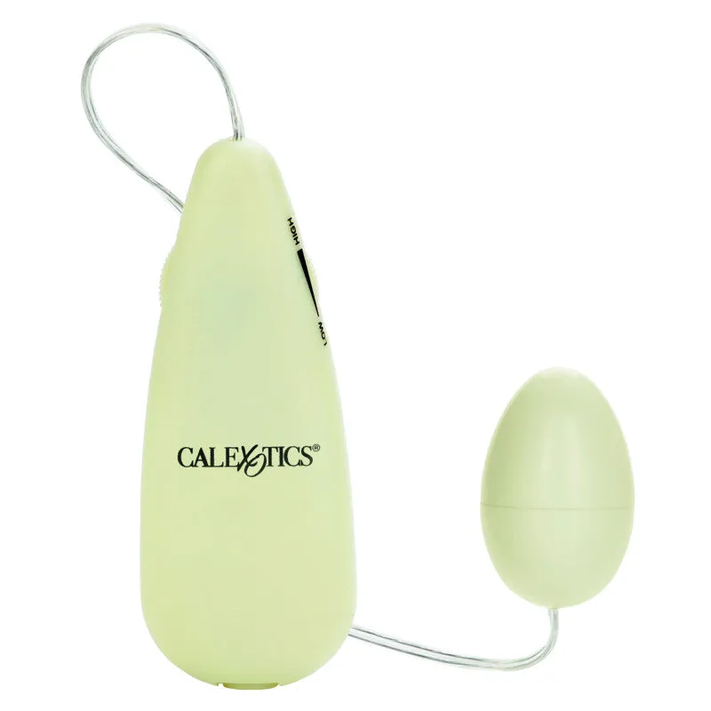 Glow-in-the-Dark Pocket Exotics Vibrating Egg