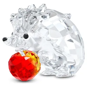Hedgehog with Apple 5532203