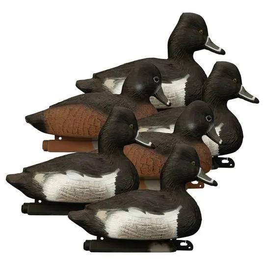 Higdon Outdoors Standard Foam Filled Ringneck Duck Decoys