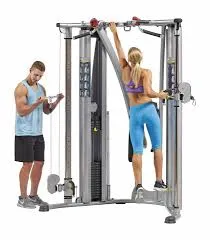 Hoist HD-3000 Dual Pulley Functional Trainer