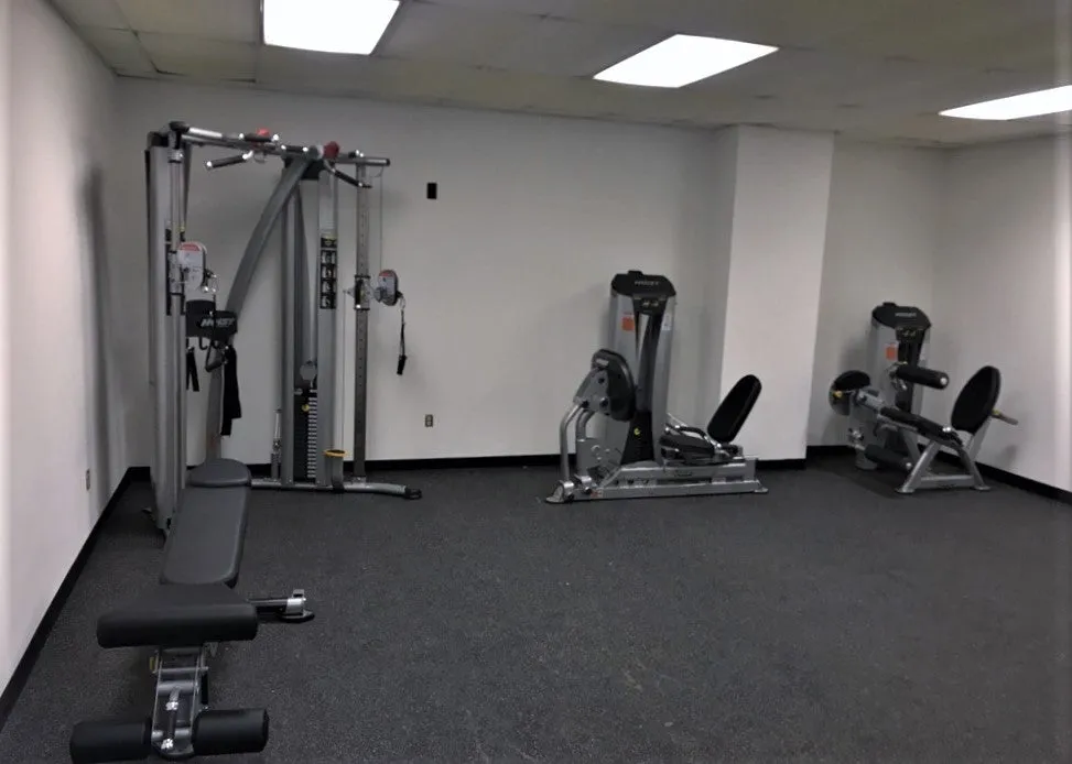 Hoist HD-3000 Dual Pulley Functional Trainer