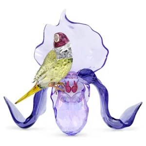 Idyllia Gouldian Finch and Orchid 5675211
