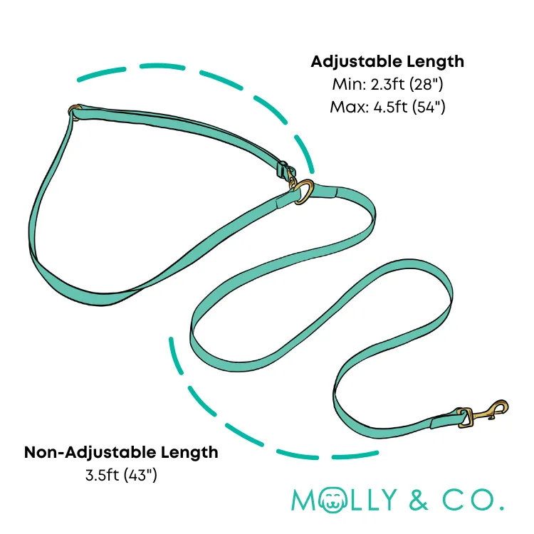Ivy - Splashproof Handsfree Dog Leash