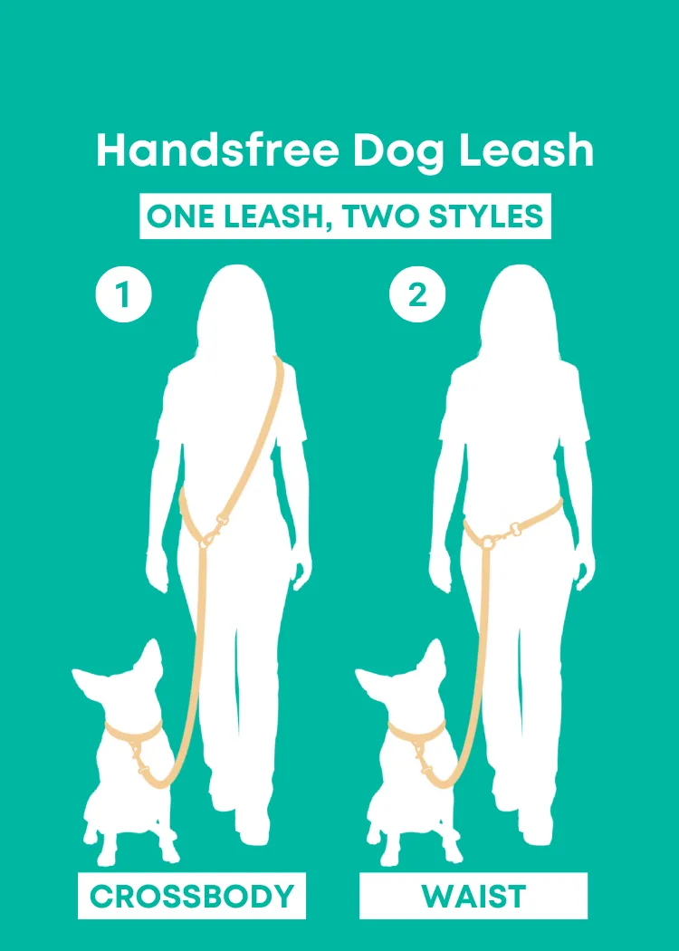 Ivy - Splashproof Handsfree Dog Leash