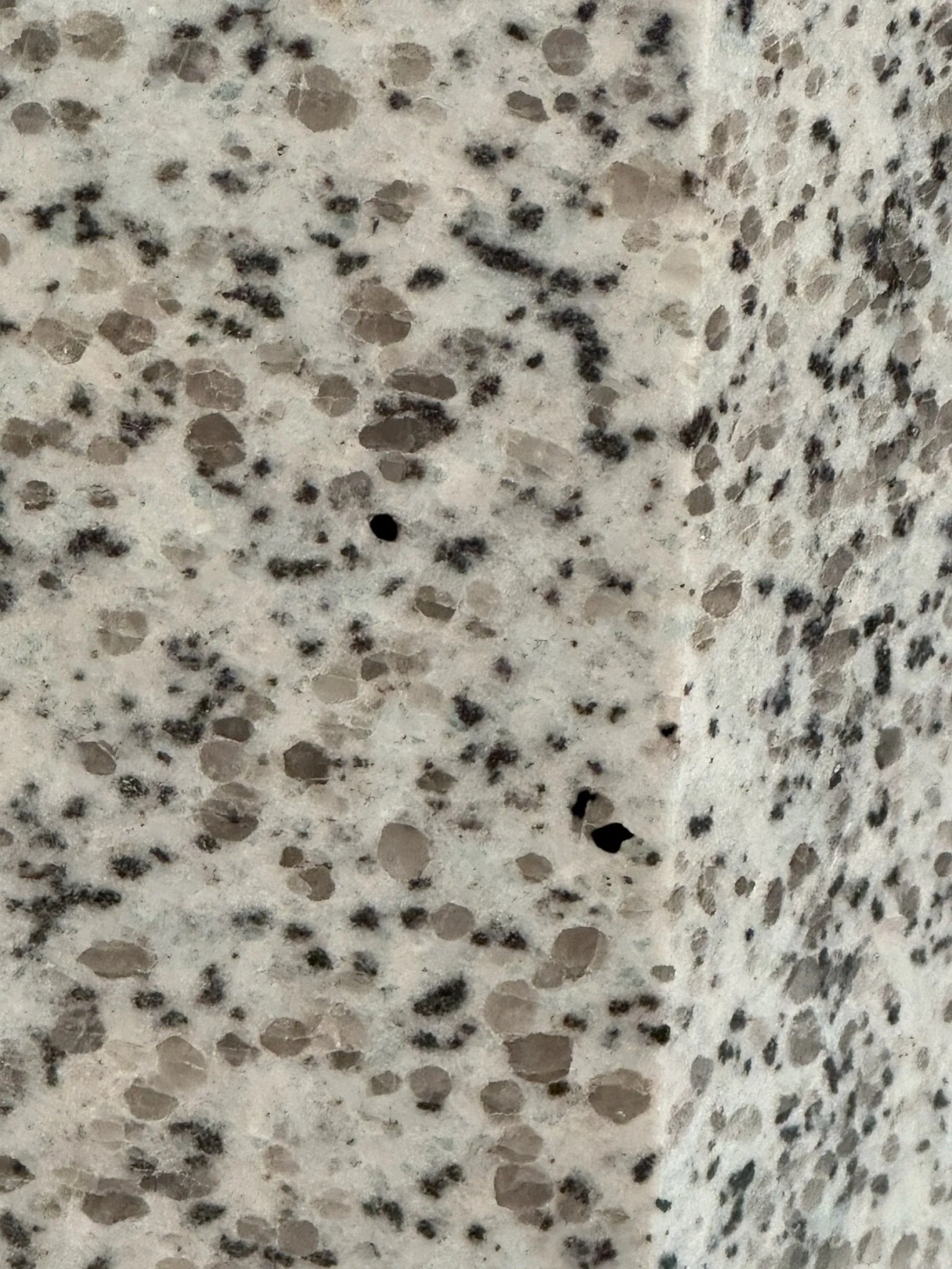 Kiwi Jasper Tower - MASSIVE