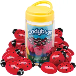Ladybug Counting Stones pk 22