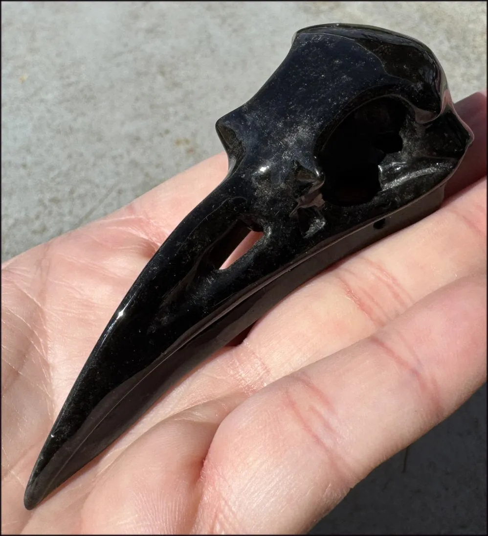 Lg. Silver Sheen Obsidian RAVEN Crystal Skull - Scrying!