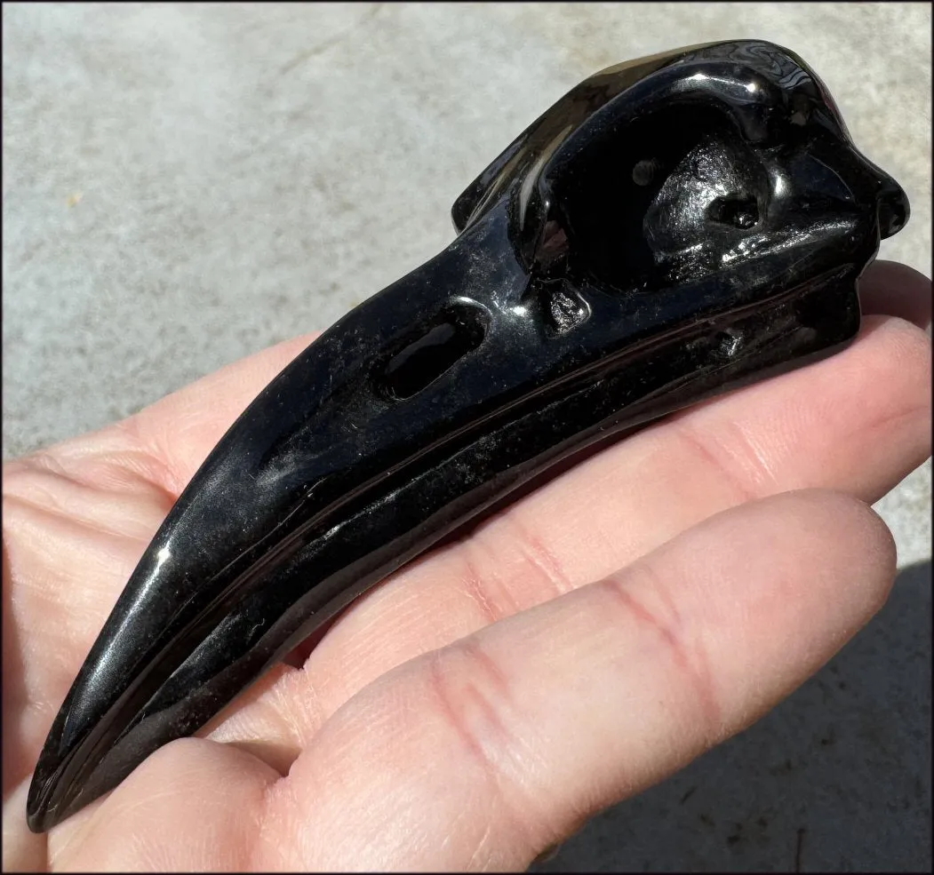 Lg. Silver Sheen Obsidian RAVEN Crystal Skull - Scrying!