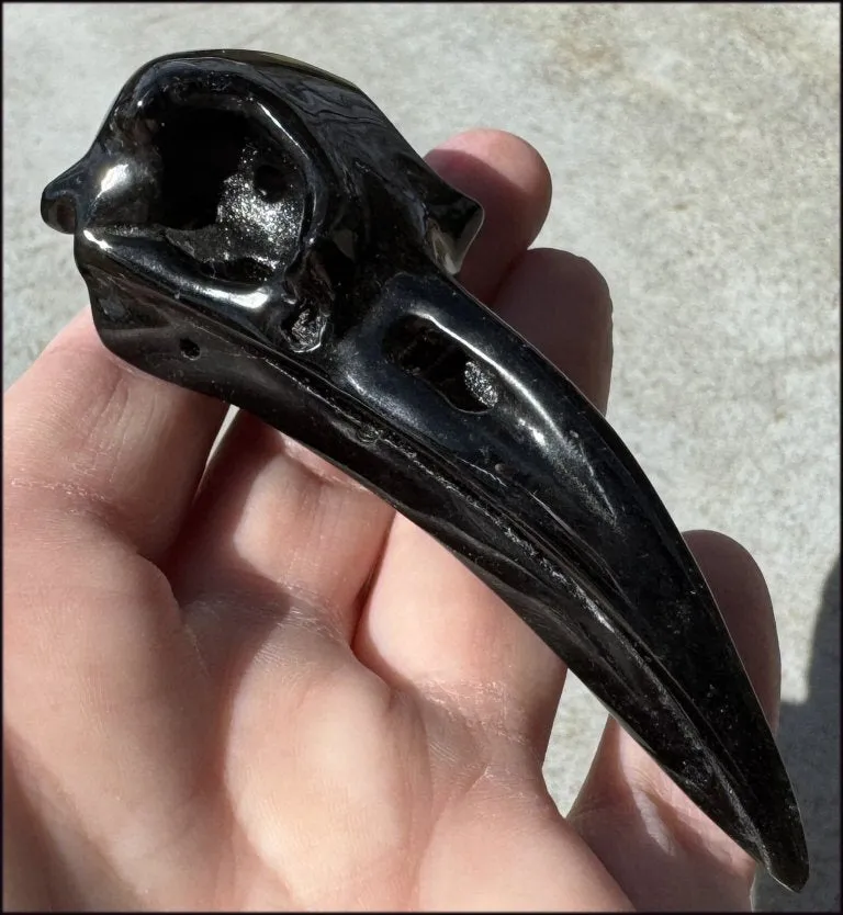 Lg. Silver Sheen Obsidian RAVEN Crystal Skull - Scrying!