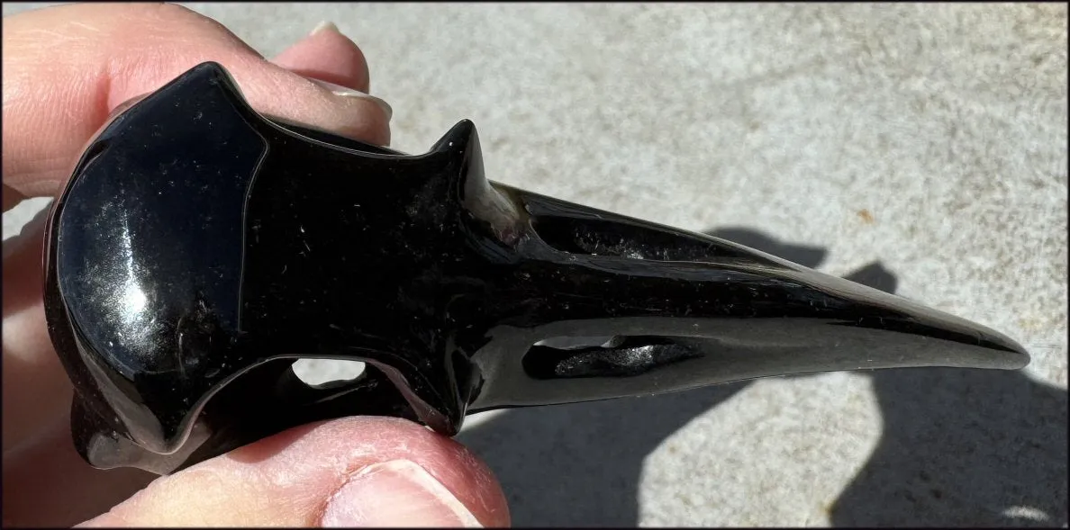 Lg. Silver Sheen Obsidian RAVEN Crystal Skull - Scrying!